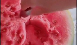 打疫苗可以吃咸瓜吗,安全与禁忌