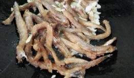 小鱼仔吃瓜,小鱼仔的瓜界探险记