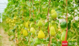 知名的吃瓜,吃瓜群众揭秘明星幕后故事