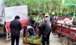 城头吃瓜群众,一窥民间生活百态