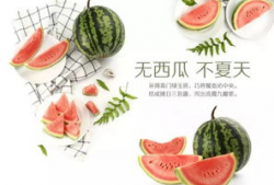 免费吃瓜活动介绍,畅享夏日清凉好礼！