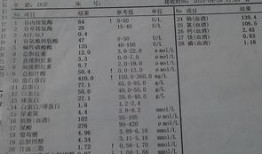 降肌酐可以吃角瓜不,健康生活新选择
