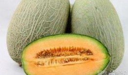 老虎吃哈密瓜,一场惊心动魄的动物对决