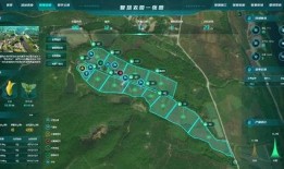 上安村吃瓜,瓜香四溢，共享田园生活乐趣