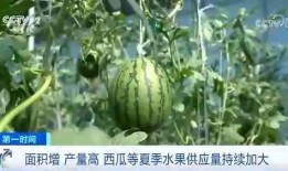 又到吃瓜季,又到全民“吃瓜”狂欢季