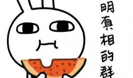 无条件吃瓜,揭秘无条件吃瓜的奇妙世界