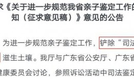 亲子鉴定 吃瓜,吃瓜群众背后的真相大揭秘