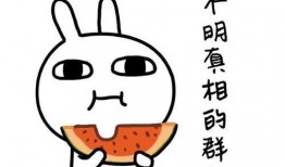 全凭缘份吃瓜,探寻命运的甜蜜邂逅