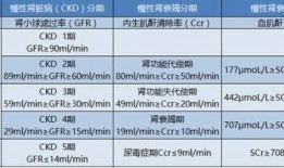 降肌酐可以吃角瓜不,健康生活新选择