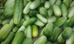 吃瓜族必备的吃瓜小包,吃瓜小包全攻略