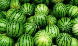 桐乡吃瓜聊天群,邻里间的欢乐时光