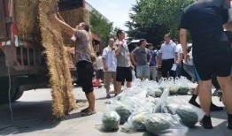 大学跳舞吃瓜,瓜田笑谈青春岁月