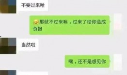 吃瓜 聊天记录,网络社交背后的真实故事
