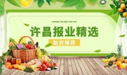 吃瓜61,揭秘娱乐圈背后的那些事儿