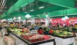 吃瓜小二店,瓜界新宠，品味生活新风尚