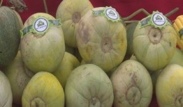 做梦吃瓜甜瓜西瓜,甜瓜西瓜的甜蜜邂逅