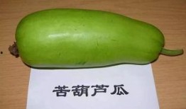 吃瓜中毒吐血,揭秘食品安全背后的惊悚真相