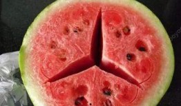 吃瓜不卖瓜是什么意思,网络流行语的深层含义与趣味解读