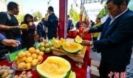 吃瓜围观图,揭秘吃瓜围观背后的社会现象