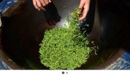 露思吃瓜,揭秘娱乐圈背后的那些事儿