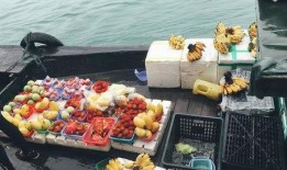 100万土豪吃瓜,揭秘100万土豪的吃瓜传奇