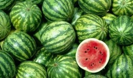 全网最新热点吃瓜,最新热点吃瓜大揭秘！