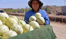 小琼吃瓜群众,揭秘娱乐圈幕后故事