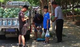 白沙洲吃瓜群众,揭秘街头巷尾的热议焦点