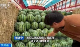 蓝冰吃瓜,揭秘娱乐圈幕后真相