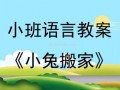 幼儿吃瓜大赛教案中班,欢乐体验与成长瞬间
