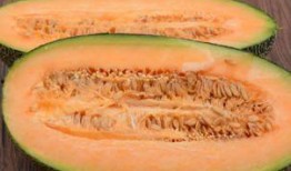 蛙蛙吃哈密瓜,一场味蕾与视觉的盛宴