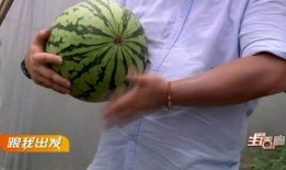 宜昌最新吃瓜事件,揭秘神秘事件背后的真相