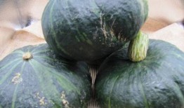 铭亮min吃瓜,揭秘娱乐圈幕后故事