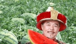 铭吃瓜路上,揭秘娱乐圈那些不为人知的幕后故事