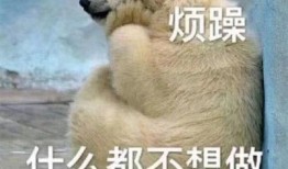 吃瓜群众表情包解析图,解码网络流行文化的表情符号