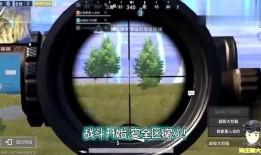 吃鸡家园吃瓜视频在线观看,揭秘游戏幕后趣事