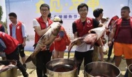 吃瓜福州学校,揭秘校园里的那些“瓜”