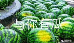 广西演艺学院 吃瓜,揭秘校园“吃瓜”风云录