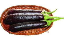 茄子吃瓜视频资源