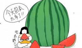 吃瓜理性,揭秘娱乐圈背后的真相