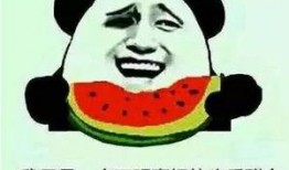 吃瓜群众有多吃瓜,揭秘网络时代的“瓜田”盛况