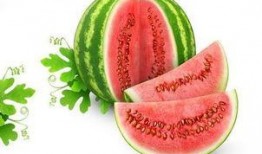 星见雅吃蜜瓜,甜蜜邂逅，尽享夏日清新