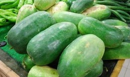 吃瓜族必备的吃瓜小包,吃瓜小包全攻略