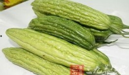 欧美吃凉瓜,清凉一夏的时尚选择