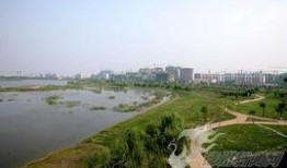 长河公园吃瓜,夏日休闲好去处