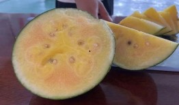 拉新吃瓜,揭秘网络社交圈的新兴现象