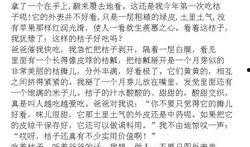 蚂蚁吃瓜作文,揭示自然界的奇妙生态现象