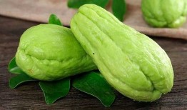 减肥可以吃螺纹瓜,减肥期间的理想美食选择