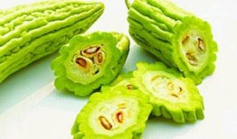 aka吃瓜小荼,网络红人的崛起与影响力