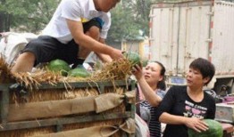 台前卖衣服吃瓜,卖衣吃瓜，共享夏日休闲时光